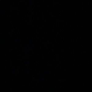 Meet your Posher, Nathan